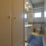 Panorama فيلة كالاماتا